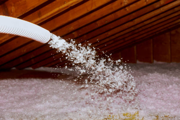 Best Insulation Replacement Services  in Hudson, OH