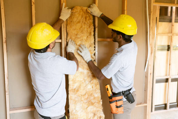Best Cellulose Insulation  in Hudson, OH