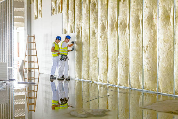 Best Insulation for Commercial Buildings  in Hudson, OH